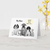 HONDEN DOGS DOGS DOGS DOGS DOGS VAN DE GROUP BOSS' KAART (Gele Bloem)