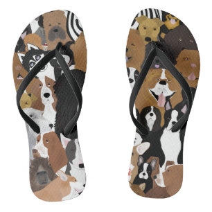 Honden, een Kat en een Teenslipper van kippen Teenslippers