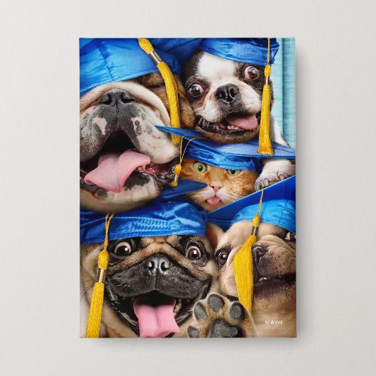 Honden en katten afgestudeerd in fotohokje button (Voorkant)