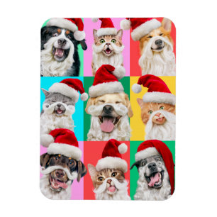 Honden en katten met kerstbaard magneet