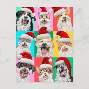 Honden en katten met kerstbaard uitnodiging briefkaart