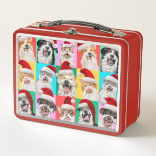 Honden en katten met Santa baard