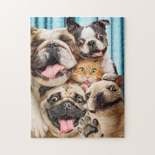 Honden en kattengroepfoto legpuzzel (Verticaal)