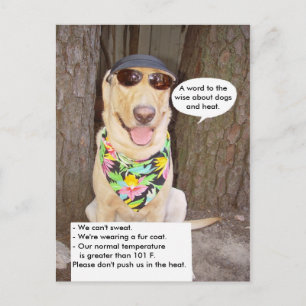 Honden en warmte briefkaart