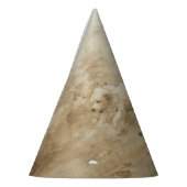 Honden - Feest Pet Feesthoedjes (Links)