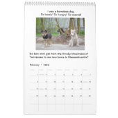 Honden geven nooit een kalender-verhalenboek op kalender (Feb 2026)