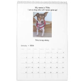 Honden geven nooit een kalender-verhalenboek op kalender (Jan 2026)