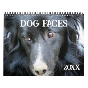 Honden Gezichten En Uitdrukkingen Kalender