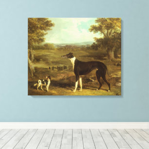 Honden, Greyhound en Spaniel, Doctor Fop door Herr Canvas Afdruk