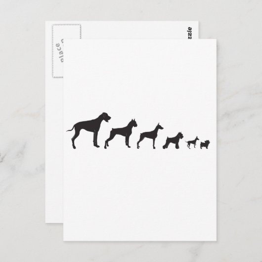 Honden, groot en klein briefkaart (Voorkant / Achterkant)