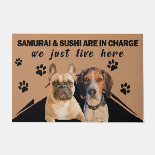 Honden hebben de leiding, we leven hier gewoon gra deurmat