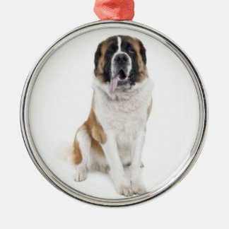 Honden houden ook van Kerstmis! Metalen Ornament