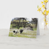 Honden in de lente Happy Birthday Groetjes Kaart (Gele Bloem)