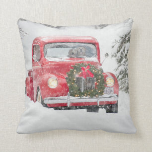 Honden in een vrachtwagen kussen