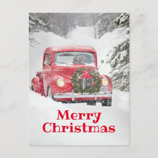 Honden in een vrachtwagen uitnodiging briefkaart (Voorkant)