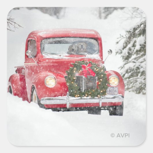 Honden in een vrachtwagen vierkante sticker (Voorkant)