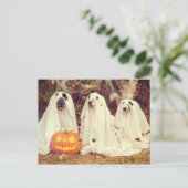 Honden in Ghost Costumes Funny Halloween Briefkaart (Staand voorkant)