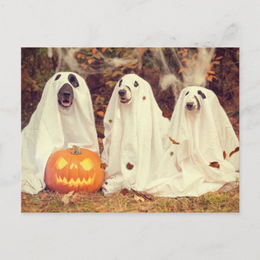 Honden in Ghost Costumes Funny Halloween Briefkaart (Voorkant)