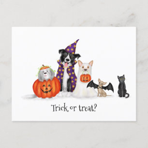 Honden in Halloween kostuums briefkaart