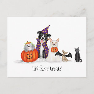 Honden in Halloween kostuums briefkaart