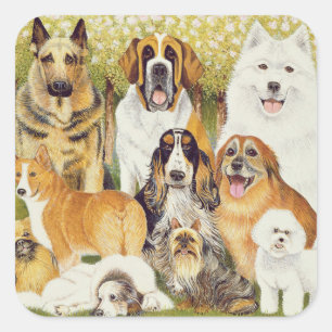 Honden in mei vierkante sticker