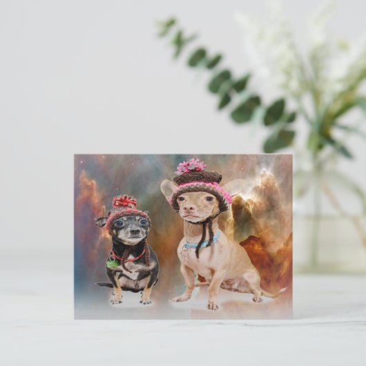 Honden in Petten Briefkaart (Staand voorkant)