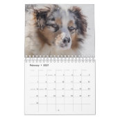Honden kalender (Feb 2027)