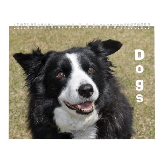 Honden kalender (Hoes)