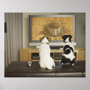 Honden kijken hondengerecht met eten op tv poster