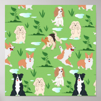 Honden Krabbelen Poster