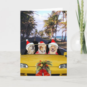 Honden / Labs in Convertible w / Santa Hats Feestdagen Kaart