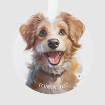 Honden maken alles beter