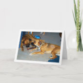 Honden met Bot Kaart (Voorkant)