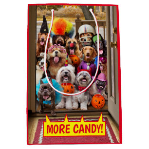 Honden met een troep of een behandeling medium cadeauzakje