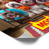 Honden met een troep of een behandeling poster (Hoek)