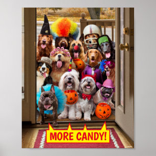 Honden met een troep of een behandeling poster
