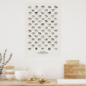 Honden - Naturalist's Library Poster (Keuken)