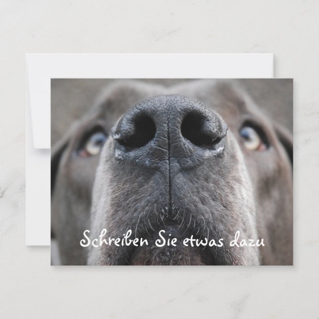 Honden neus (Voorkant)