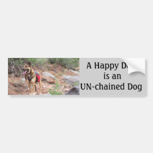 Honden niet in een ketting gelegd bumpersticker