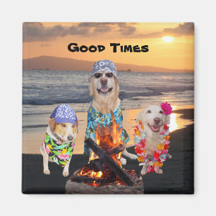 Honden op het strand bij zonsondergang magneet