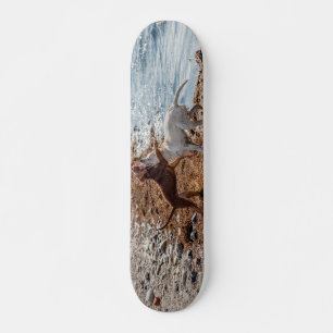 Honden op het strand skateboard