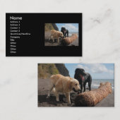 Honden op het strand visitekaartje (Voorkant / Achterkant)
