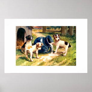 Honden Poster