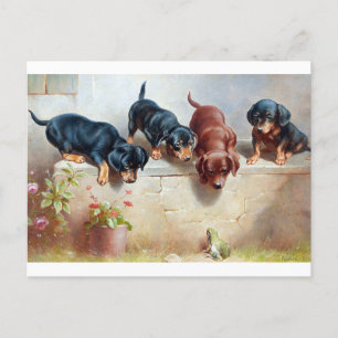 Honden Puppies Briefkaart ter illustratie van de V