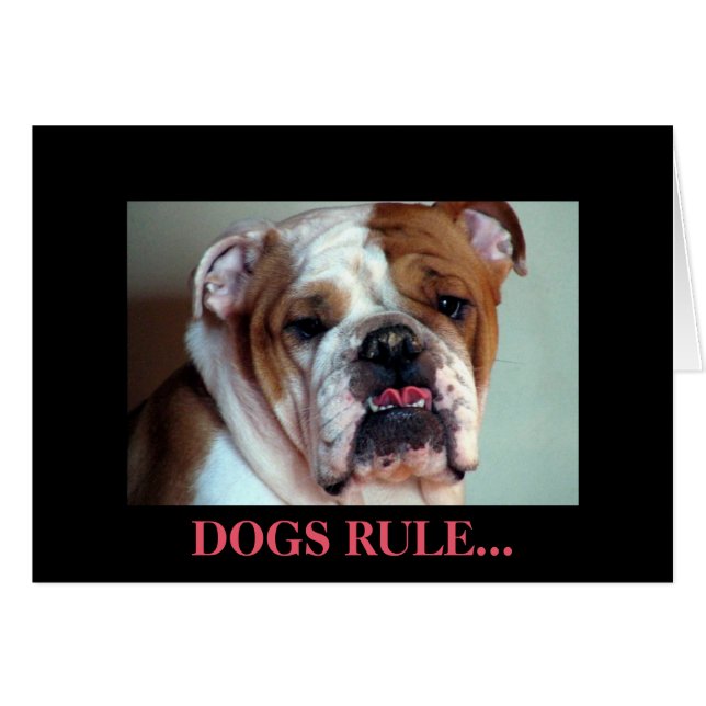 Honden regel. (Voorkant Horizontaal)