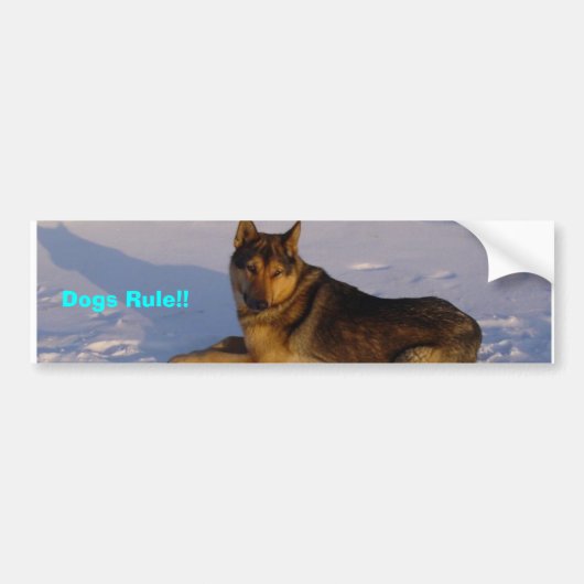 Honden Regel! Bumpersticker (Voorkant)