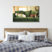 Honden slapen op sofa canvas afdruk (Insitu (Slaapkamer))