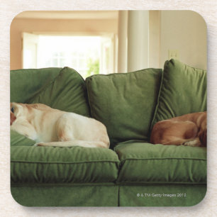 Honden slapen op sofa onderzetter