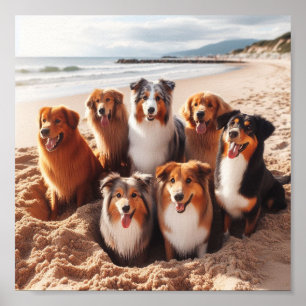 Honden spelen op het strand in de zomer poster