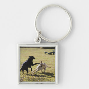 Honden spelen sleutelhanger